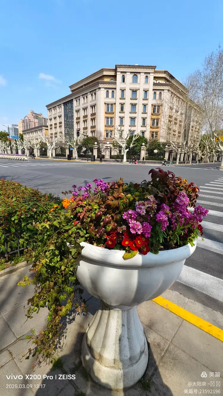 散步寻觅新线路:五原路→→华山绿地4000步x2